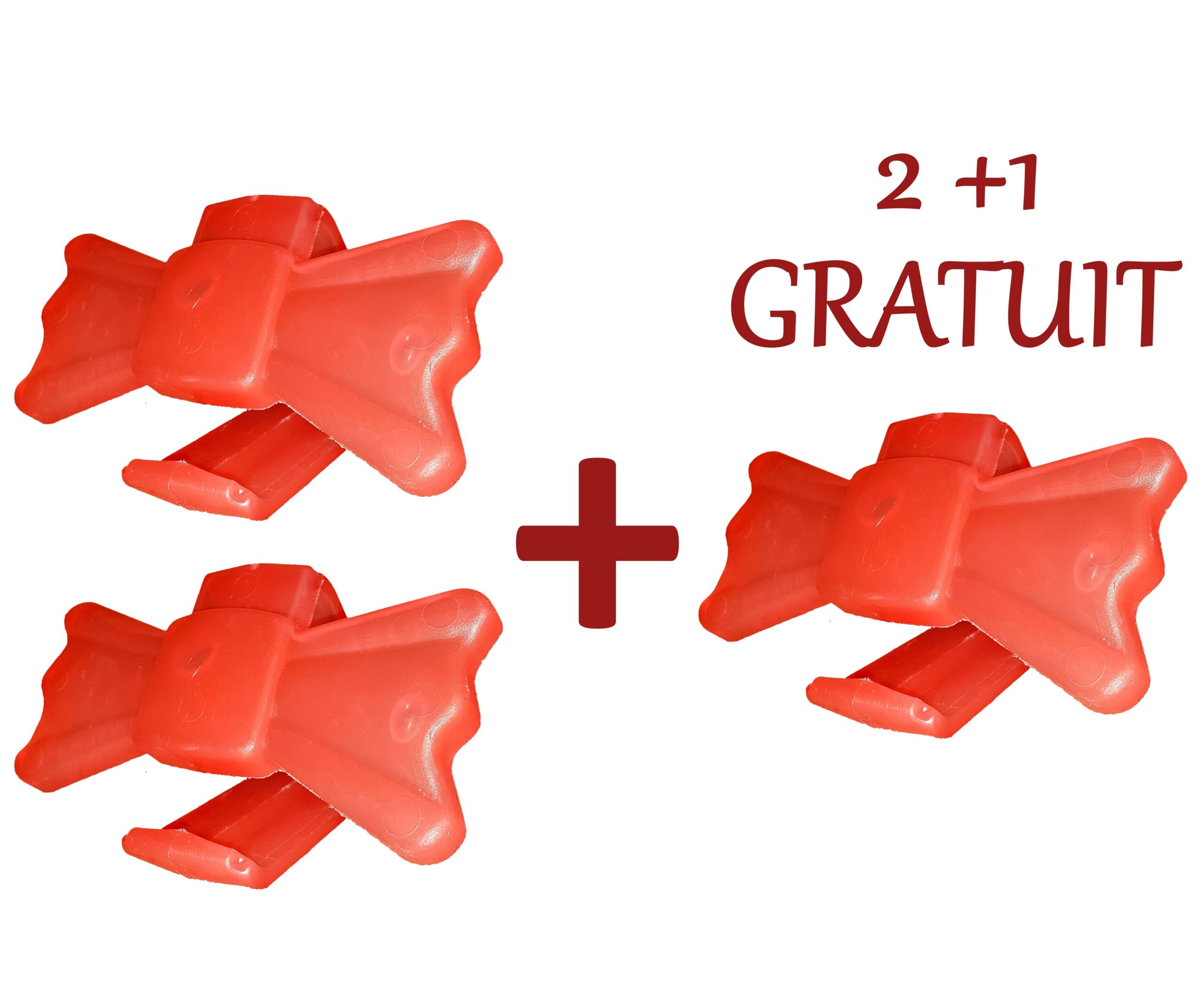 2+1